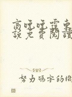 商晚晚霍东铭小说免费阅读笔趣阁