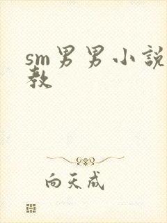 sm男男小说调教