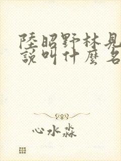陆昭野林见疏小说叫什么名字