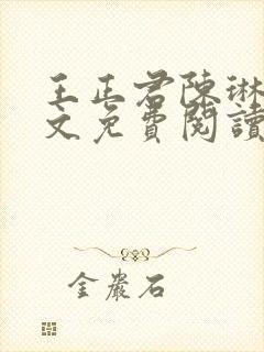 王正君陈琳洁全文免费阅读最新章节