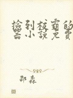 捡到校霸的遥控器小说免费阅读无弹窗