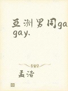 亚洲男同gay gay.
