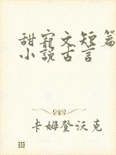 甜宠文短篇完结小说古言