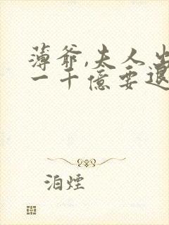 薄爷,夫人出价一千亿要退婚 电子书下载