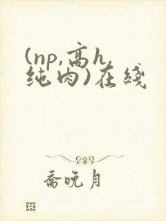 (np,高h,纯肉)在线