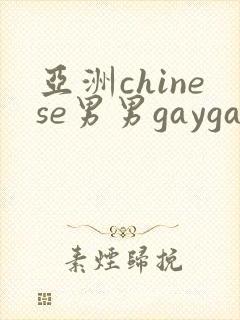 亚洲chinese男男gaygay