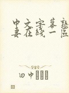 中文字幕熟女人妻在线一区二区