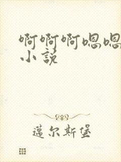 啊啊啊嗯嗯嗯h小说