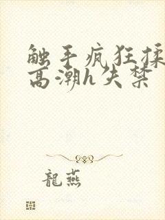 触手疯狂揉肉蒂高潮h失禁