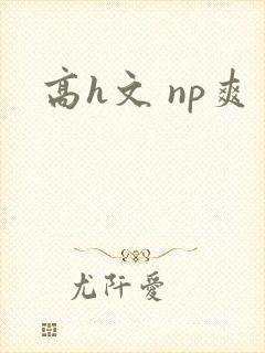 高h文 np爽
