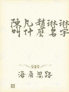 陈凡赵琳琳小说叫什么名字