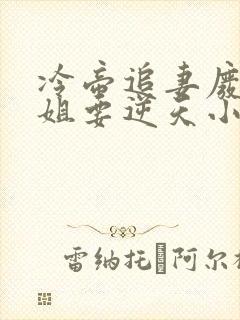 冷帝追妻废材小姐要逆天小说完整