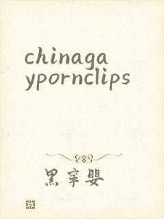 chinagaypornclips封面