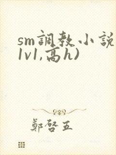 sm调教小说(1v1,高h)