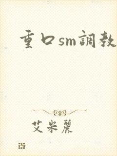 重口sm调教文封面