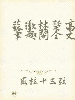 苏彻林楚高天赐笔趣阁全文