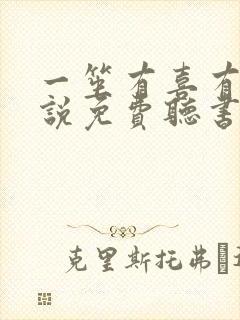 一笙有喜有声小说免费听书