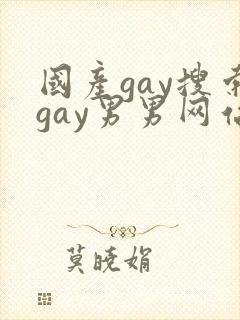 国产gay搜索gay男男网站封面