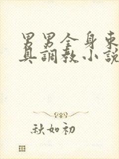 男男全身束缚道具调教小说封面