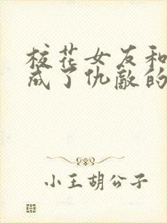 校花女友和母亲成了仇敌的小说