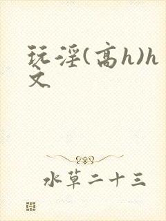 玩淫(高h)h文