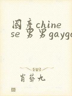 国产chinese 男男gaygay网站