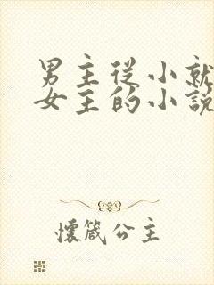 男主从小就喜欢女主的小说