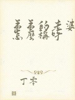 弟弟的老婆哥哥怎么称呼封面