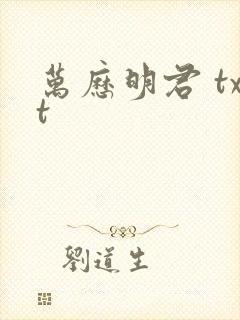 万历明君 txt