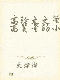 高干文文笔好的高质量的小说现代言情