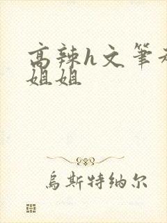 高辣h文笔趣阁姐姐