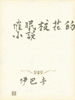 催眠校花的洗脑小说