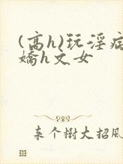 (高h)玩淫病娇h文女