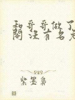 和哥哥做了笔趣阁 没有名免费阅读无弹窗封面