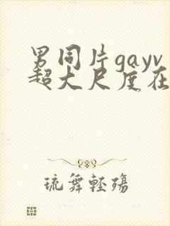 男同片gayv超大尺度在线观看网站封面