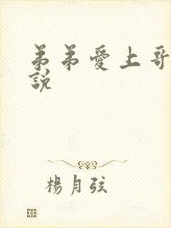 弟弟爱上哥哥小说