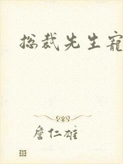 总裁先生宠宠我封面