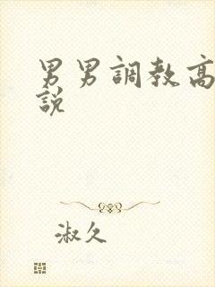 男男调教高h小说