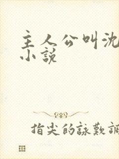 主人公叫沈默的小说