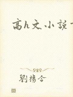 高h文小说重口封面