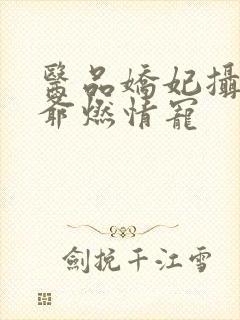 医品娇妃摄政王爷燃情宠