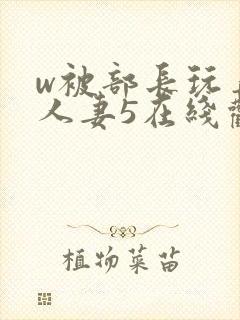 w被部长玩弄的人妻5在线观看