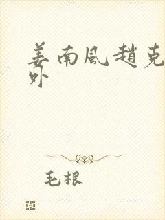 姜南风赵克烟番外