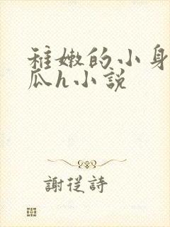 稚嫩的小身子破瓜h小说