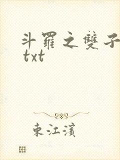 斗罗之双子斗罗 txt