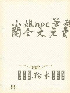 小姐npc笔趣阁全文免费阅读封面