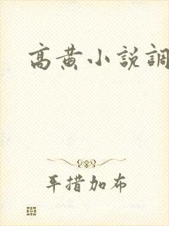 高黄小说调教