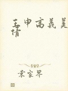王申高义美红孙倩