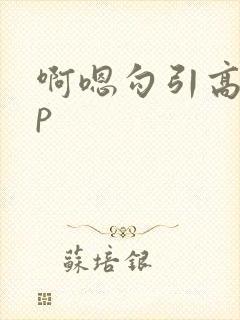 啊嗯勾引高hnp