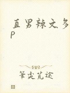 直男辣文多人np